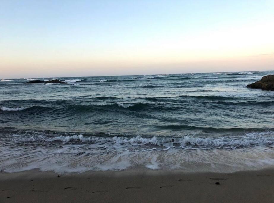 El más completo, a menos de 5 minutos de la playa, free wifi fuera del alojamiento Puerto Plata Exterior foto